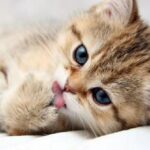 雨夜的头像-雨夜博客